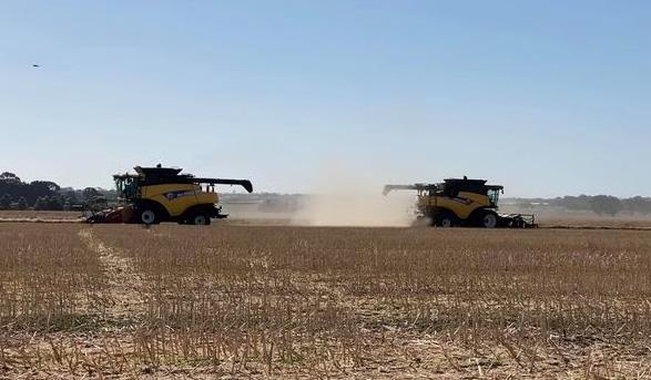 Local Agriculture Inverleigh